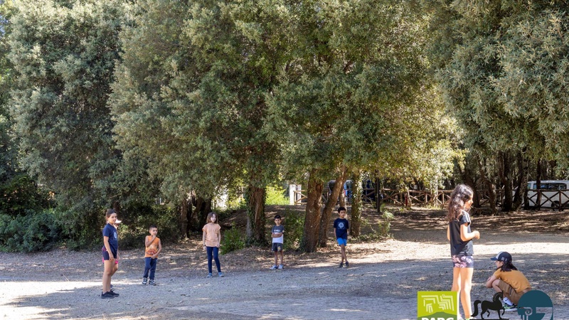   - Museo Parc e campus a Genoni 
